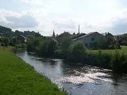 Тон в Ламорто летом 2007 года.