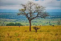 Живописный пейзаж парка