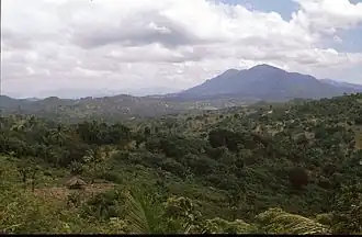 Лесистый пейзаж