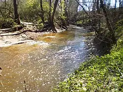 Низовье реки Ланкяса около деревни Ужкапяй весной 2010 года