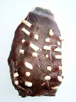 Нашпигованный кусок оленины