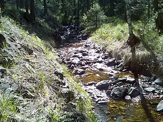Левый приток Правой Саранги