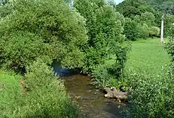 Римавица в июле 2021 года