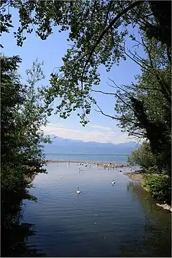 Устье Шамберона