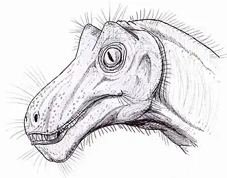 Реконструкция головы