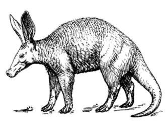 Реконструкция