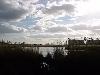 Вид на озеро