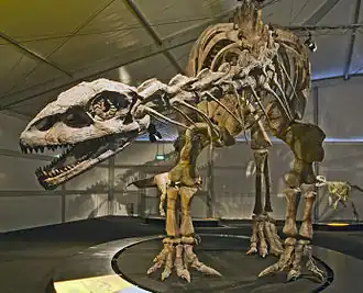 Меланорозавриды