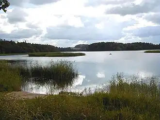 Вид на озеро Лиезерис летом 2001 года