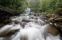 Водопады Лиффи в верхнем течении реки