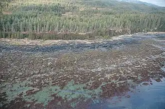 Остров с высоты птичьего полёта, фото NOAA