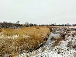 река у хутора Скворин Суровикинского района в конце ноября 2021 года