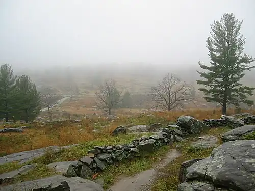 Вид на низину ручья Плам-Ран