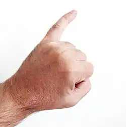 Мизинец (digitus minimus)