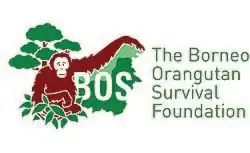 Изображение логотипа