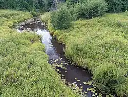 Река в урочище Спасском