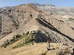 Одинокая ферма