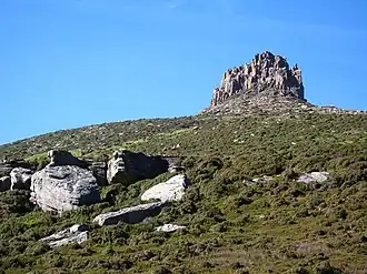 Гора Пелион-Ист, Тасмания, Австралия