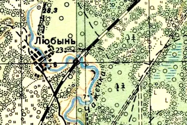 План деревни Любыни 1941 год