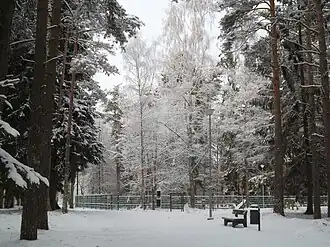 Лесопарк Капа зимой