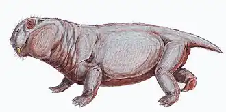 Реконструкция Lystrosaurus murray