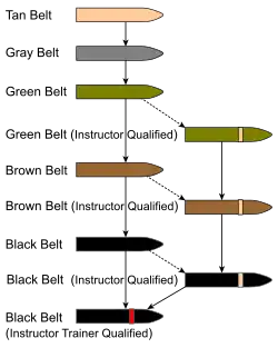 Система поясов