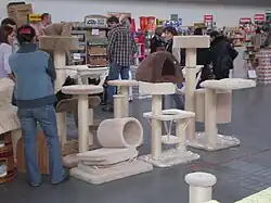 Разнообразие когтеточек на кошачьей выставке