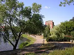 Электрическая мельница