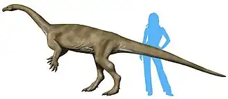 Реконструкция