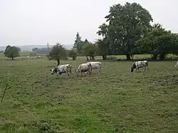 Непосредственно за пределами города начинаются сельскохозяйственные угодья