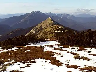 Вид на Малый Горган с горы Синяк, далее – Довбушанка