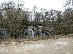 В селе Лучкине