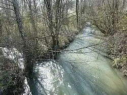 Река Мануар