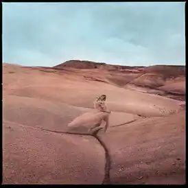 Обложка альбома Марго Прайс «Strays» (2023)