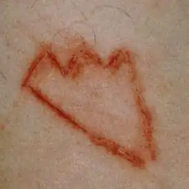 Обложка альбома Members Only «Members Only, Vol. 2» (2015)