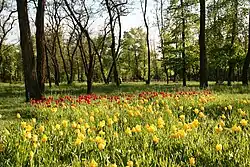 Парк памяти павших в Великой Отечественной войне