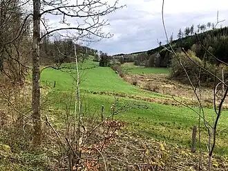 Долина водотока Меннер в его верховьях