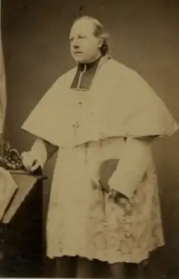 Эме-Виктор-Франсуа Гильбер