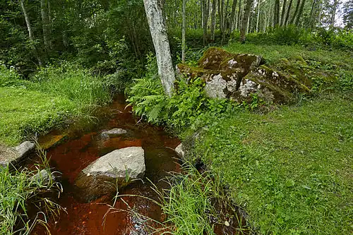 Жертвенный камень Яаникиви