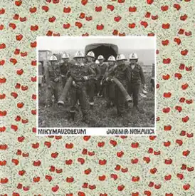 Обложка альбома Яромира Ногавицы «Mikymauzoleum» (1993)