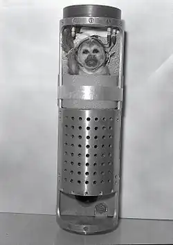 Мисс Бейкер перед запуском