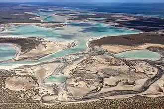Соленые озёра в заливе Шарк