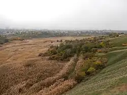 Долина реки Мокрая Мечётка между Тракторным и посёлком Верхнезареченским, осень 2013 года