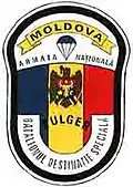 Отдельный батальон особого назначения «Фулджер» («Fulger») — Кишинёв