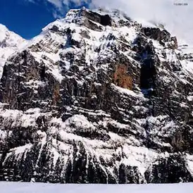 Обложка альбома Moloko «I Am Not a Doctor» (1998)