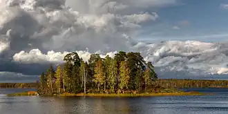 Парк Монрепо осенью 2012 года