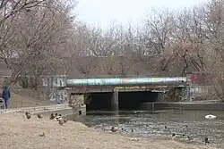 Фронтальный вид