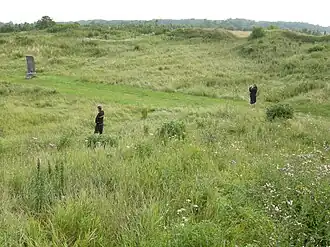 Остатки крепости Муху, сдавшейся крестоносцам в 1227 году