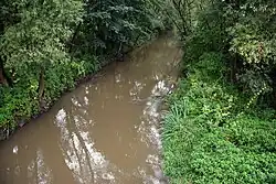 Среднее течение Мурани у города Елшава