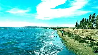 На берегу озера. 14 февраля 2016 года.